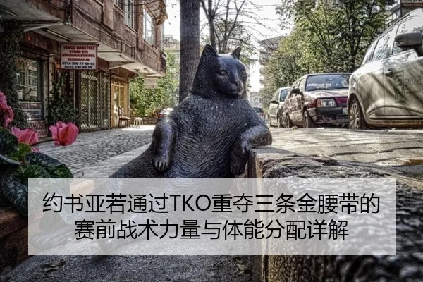 约书亚若通过TKO重夺三条金腰带的赛前战术力量与体能分配详解